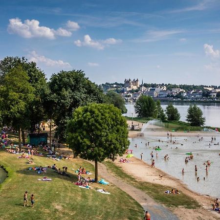 Le Bois Flotte - Maison Au Coeur De La Loire Entre Ville Et Nature Сомюр Экстерьер фото