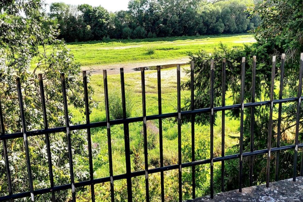 Le Bois Flotte - Maison Au Coeur De La Loire Entre Ville Et Nature Сомюр Экстерьер фото
